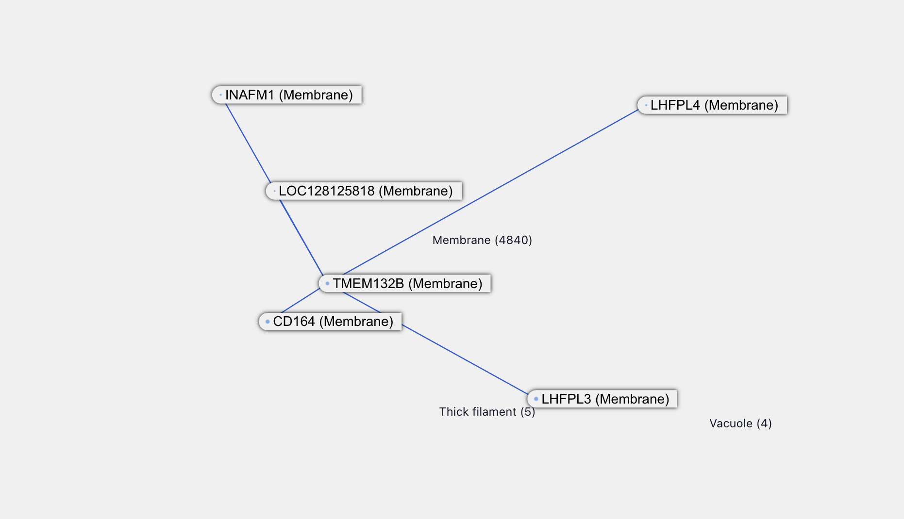 TMEM132B graph